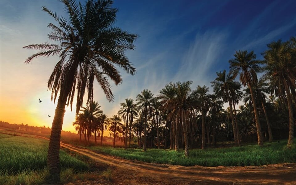 Foto - Saudská Arábie s odpočinkem v Bahrajnu  - Saudská Arábie s odpočinkem v Bahrajnu
