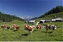 Foto - Schladming - Dachstein - Hotel Raunerhof v Pichlu u Schladmingu - all inclusive ****