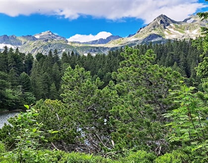 Tatry5