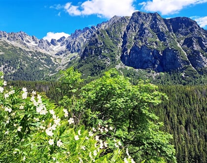 Tatry6