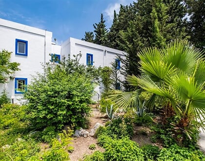 Hotel-Paloma-Family-Club-Bitez-6
