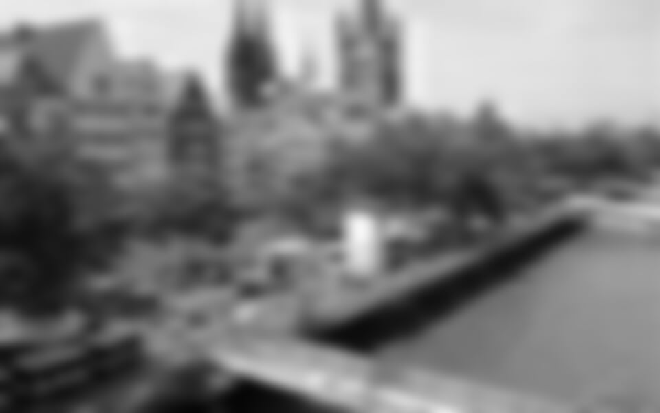 Romantické Porýní a údolí Mosely, malebné Alsasko, Bodamské jezero + květinový ostrov Mainau