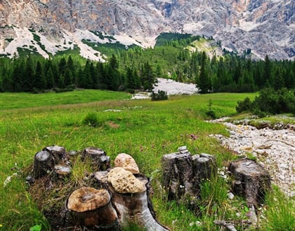 Dolomity 05