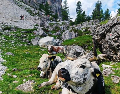 Dolomity 07