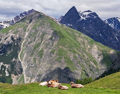 Bormio 02
