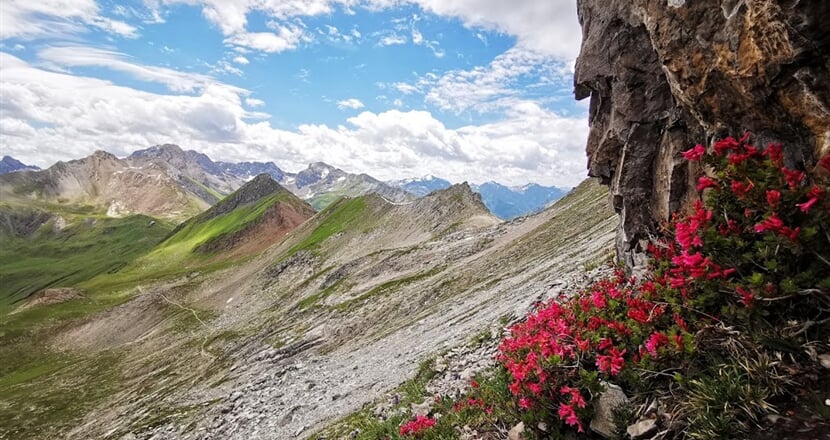 Lechtálské Alpy 03