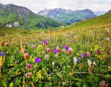 Lechtálské Alpy 07