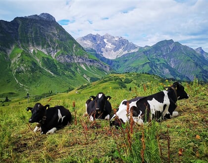 Lechtálské Alpy 10