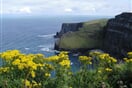 Cliffs of Moher 04