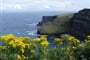 Cliffs of Moher 04