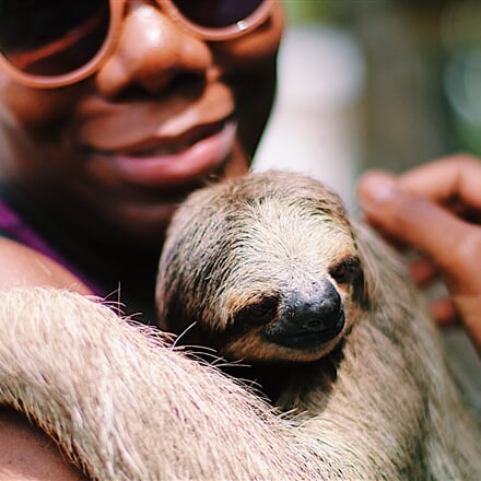 Roatan+Monkey+and+Sloth+Tours 2