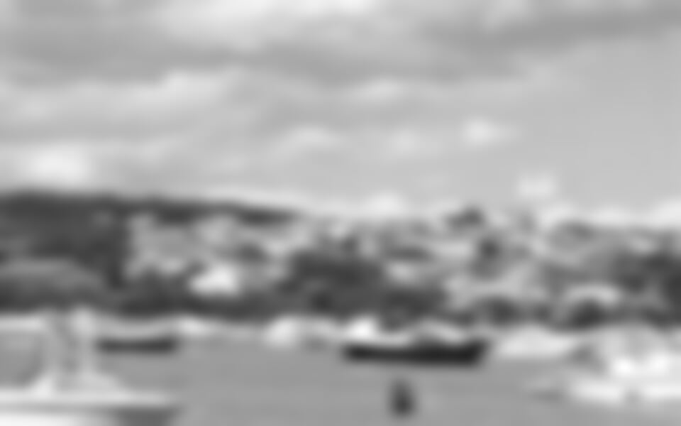 Medulin - Medulin - ubytování v soukromí