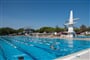 vivi-cds-piscina-olimpionica-11