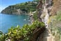 Giardino delle Ninfee, Ischia (13)