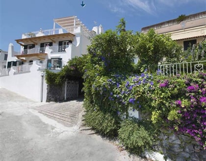 Giardino delle Ninfee, Ischia (52)