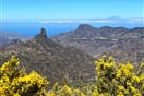 Gran Canaria 08