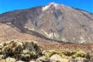 Tenerife Pico del Teide 03