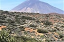 Tenerife Pico del Teide 09