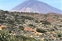 Tenerife Pico del Teide 09