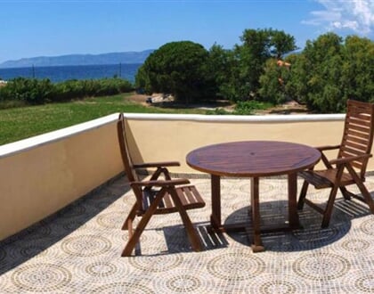 Lela-Kaptani-Olive-Grove-4