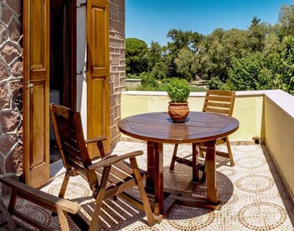 Lela-Kaptani-Olive-Grove-6