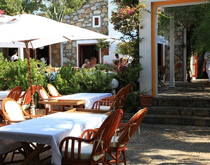 Okaliptus-Bech-Hotel-6