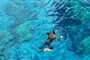 snorkeling 1197011 1920