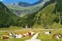 Foto - Schladming - Dachstein - Kouzlo horských salaší