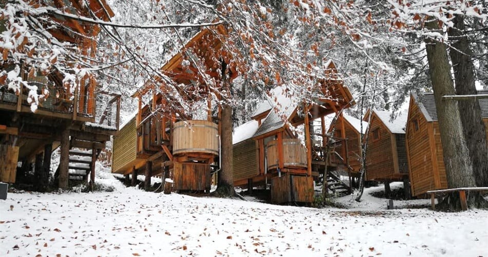 Glamping-Ribno-Slovenska-vas-16-crop-scaled (kopie)