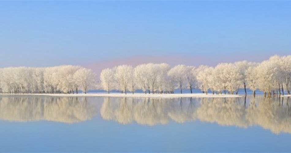 Foto - PREMIUM - Vánoční sen na Dunaji (Flora)