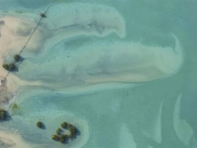 Anantara Sir Bani Yas Island4
