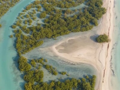 Desert Islands Resort & Spa by Anantara2