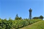 F010335-lendava_vinarium_2_miran_kambic-photo-m