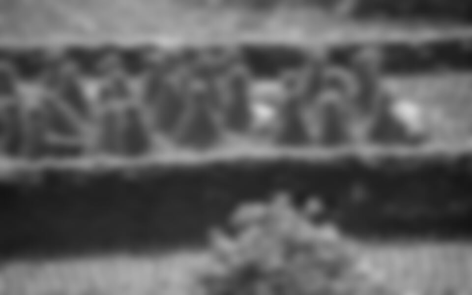 Vietnam – velká cesta 2015