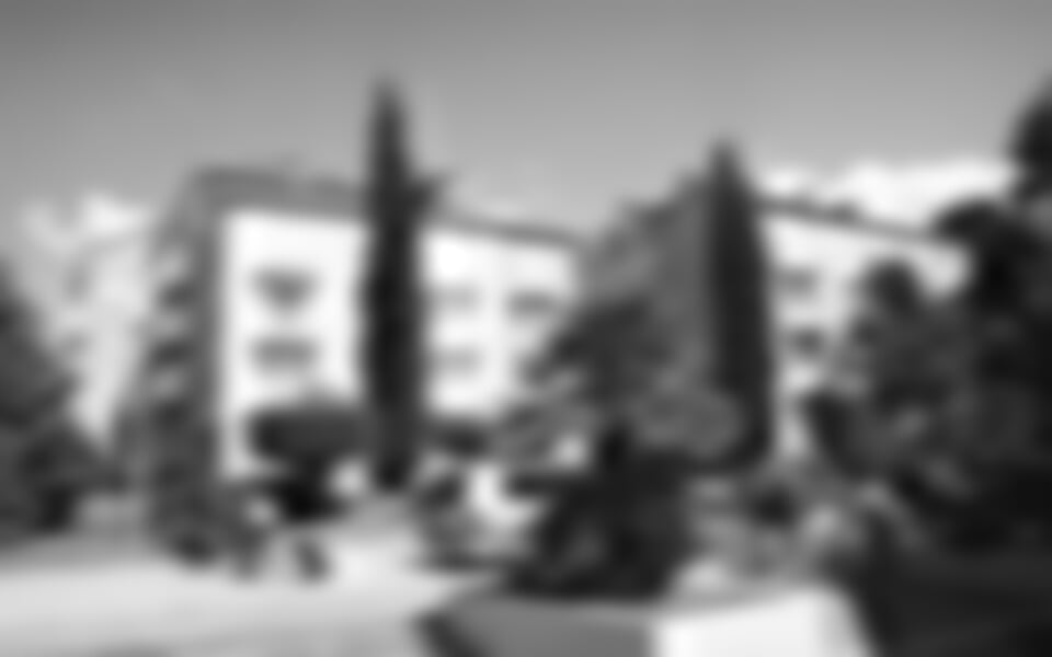 Rovinj - Hotel Valdaliso **