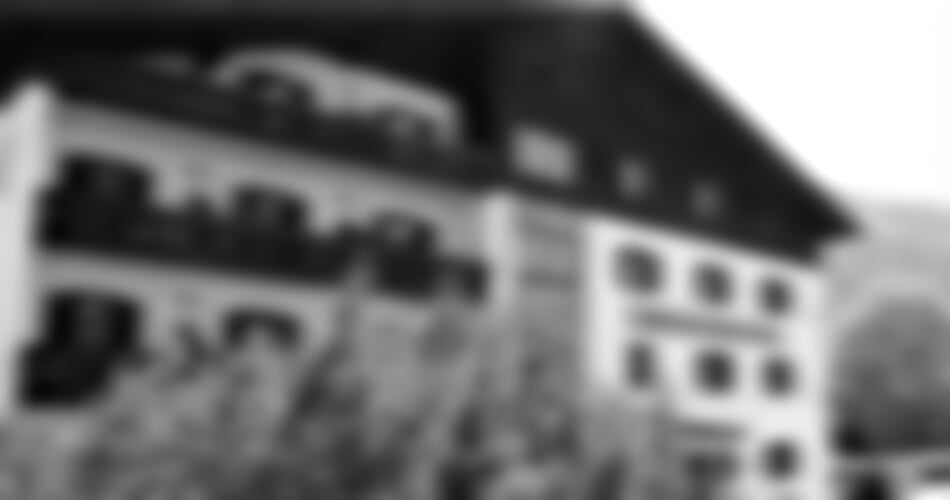 Attersee - Hotel Georgshof *** u Attersee
