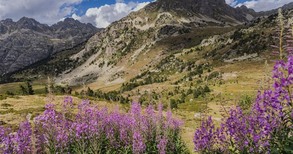 Pyreneje - údolí Vall d'Incles