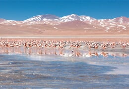 Chile - Bolívie