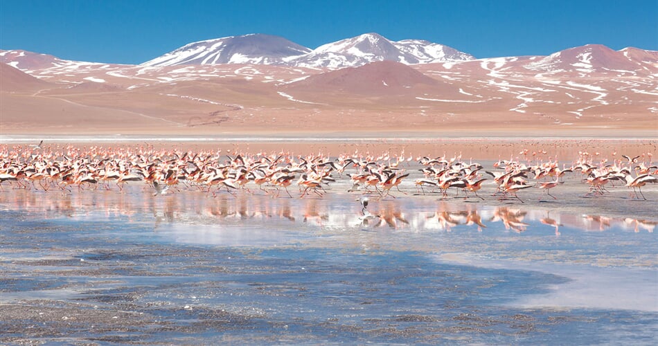 Foto - Z Atacamy přes solné pláně do bolívijské pampy (Chile a Bolívie)