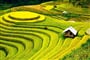 Foto - Velký poznávací okruh - Velký okruh Vietnamem s pobytem u moře