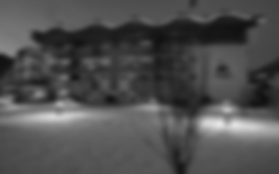 Aparthotel Adler - Moena