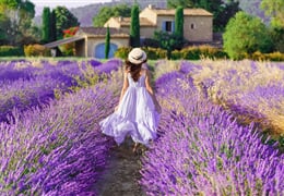 Levandulová Provence - poklady jižní Francie
