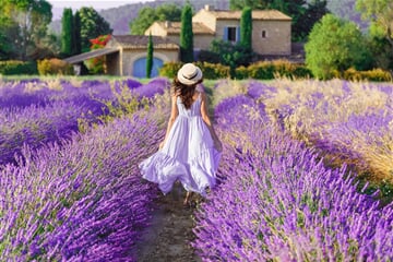 Levandulová Provence - poklady jižní Francie