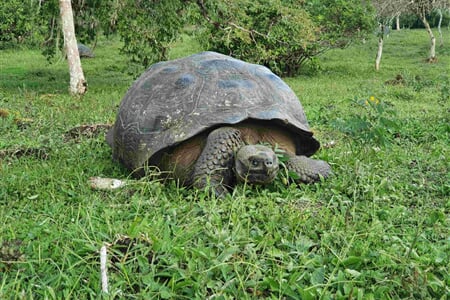 Ekvádor od rovníku k Pacifiku a 5denní plavba po Galapágách