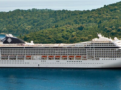 MSC13013732