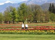 Snovik 7 Arboretum Volčji potok
