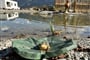 Foto - Zell am See - Kaprun - Gasthof Limberghof v Zell am See