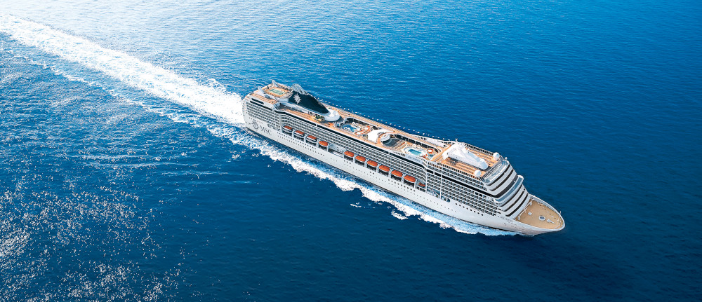 MSC13014373