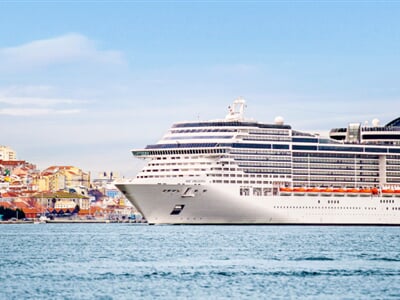 MSC13014811