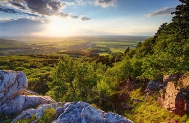 Slovensko - Husí Hody A Malé Karpaty